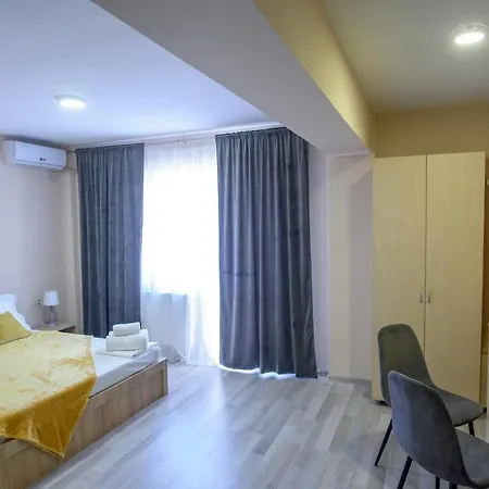 בית הארחה Pensiunea Sasha 3*