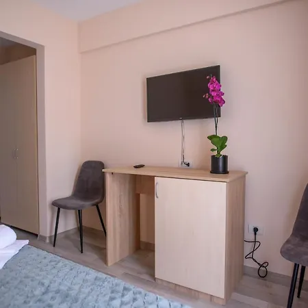 Pensiunea Sasha בית הארחה אפורי נורד