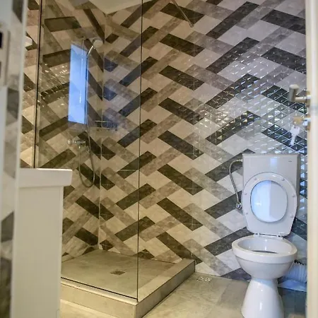 Pensiunea Sasha בית הארחה 3*