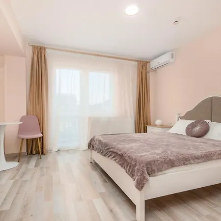 בית הארחה Pensiunea Sasha 3*