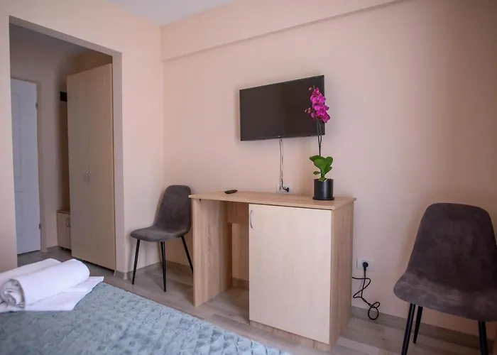 Pensiunea Sasha ゲストハウス エフォリエ・ノルド