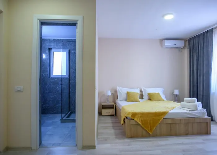 ゲストハウス Pensiunea Sasha エフォリエ・ノルド