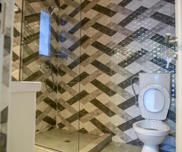 Pensiunea Sasha ゲストハウス 3*