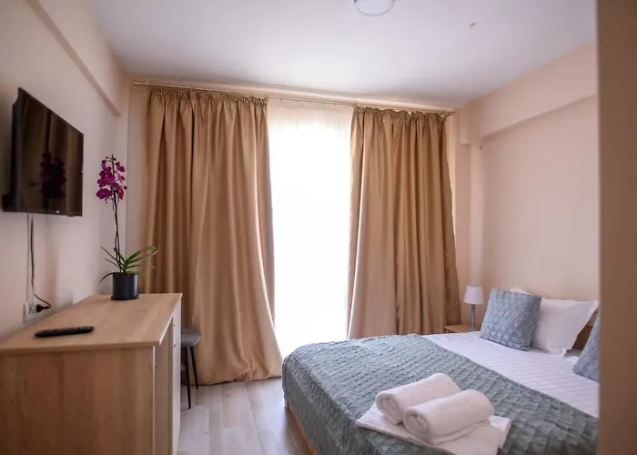 Pensiunea Sasha 3* エフォリエ・ノルド