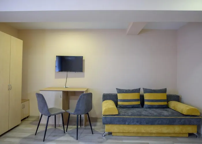 Pensiunea Sasha エフォリエ・ノルド