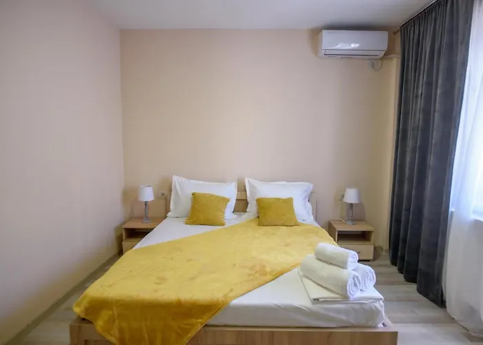 Pensiunea Sasha ゲストハウス エフォリエ・ノルド