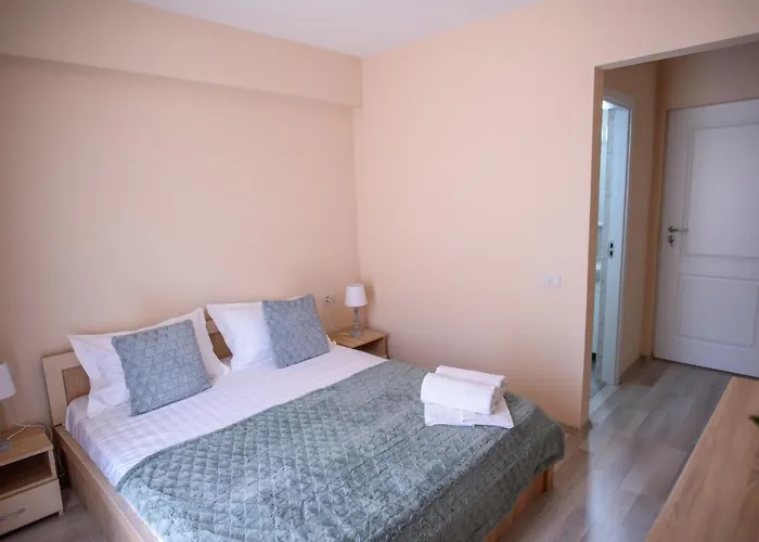 Pensiunea Sasha ゲストハウス エフォリエ・ノルド