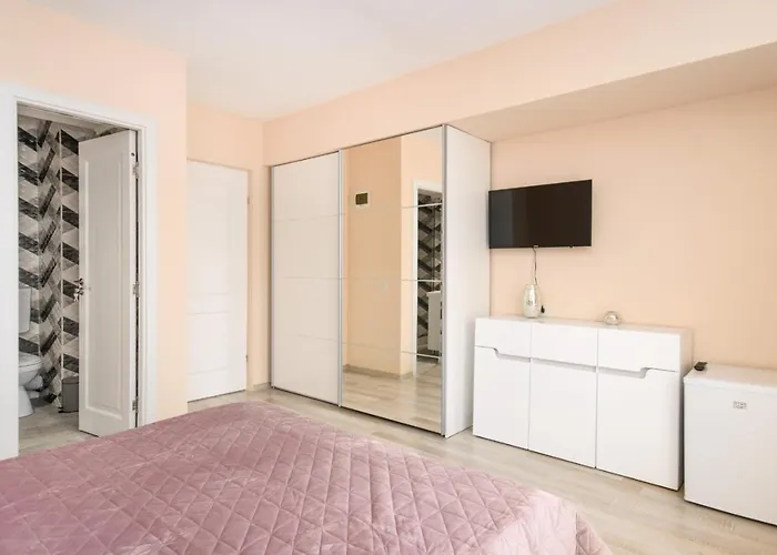 Pensiunea Sasha ゲストハウス エフォリエ・ノルド