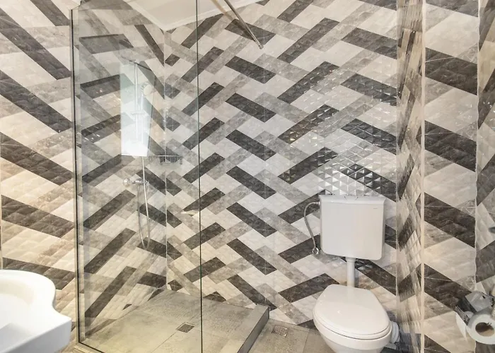 ゲストハウス Pensiunea Sasha