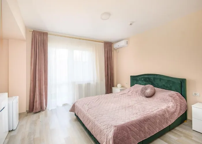 Pensiunea Sasha 3* エフォリエ・ノルド