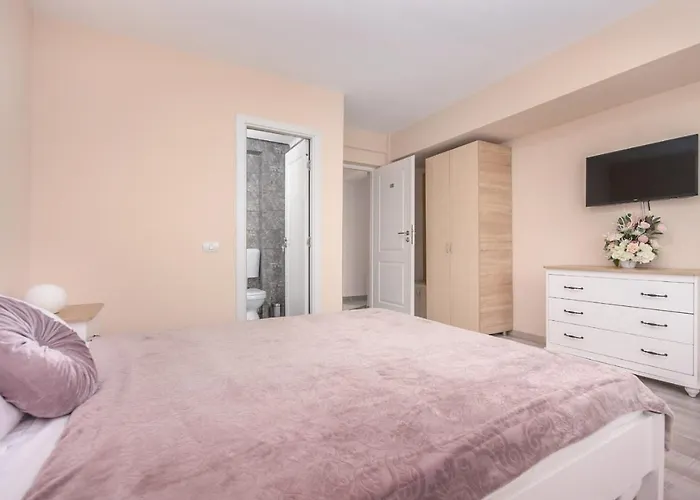 Pensiunea Sasha 3* エフォリエ・ノルド