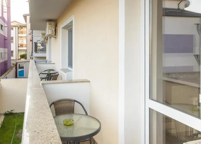 Pensiunea Sasha ゲストハウス