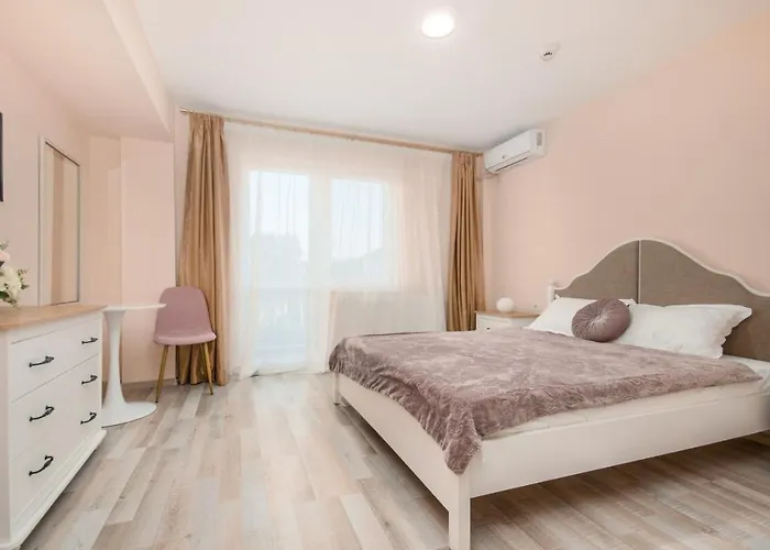 ゲストハウス Pensiunea Sasha 3*