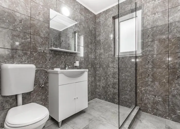 Pensiunea Sasha エフォリエ・ノルド